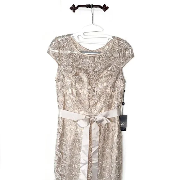 Adrianna Papell Lace Cap Sleeve Illusion Gown - Picture 10 of 10